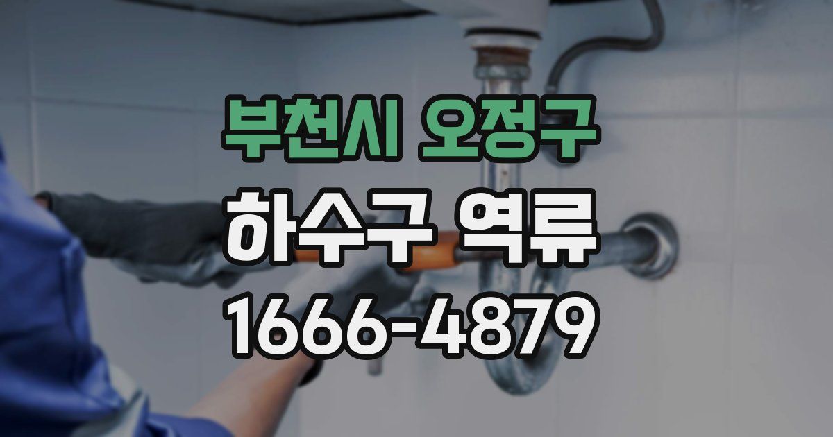 부천시 오정구 하수구 역류