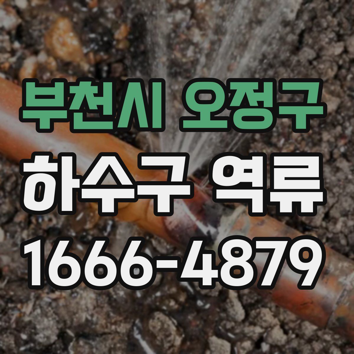 부천시 오정구 하수구 역류