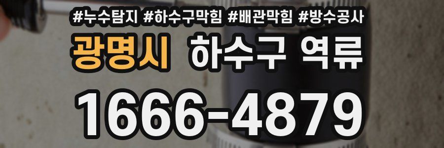 광명시 하수구 역류