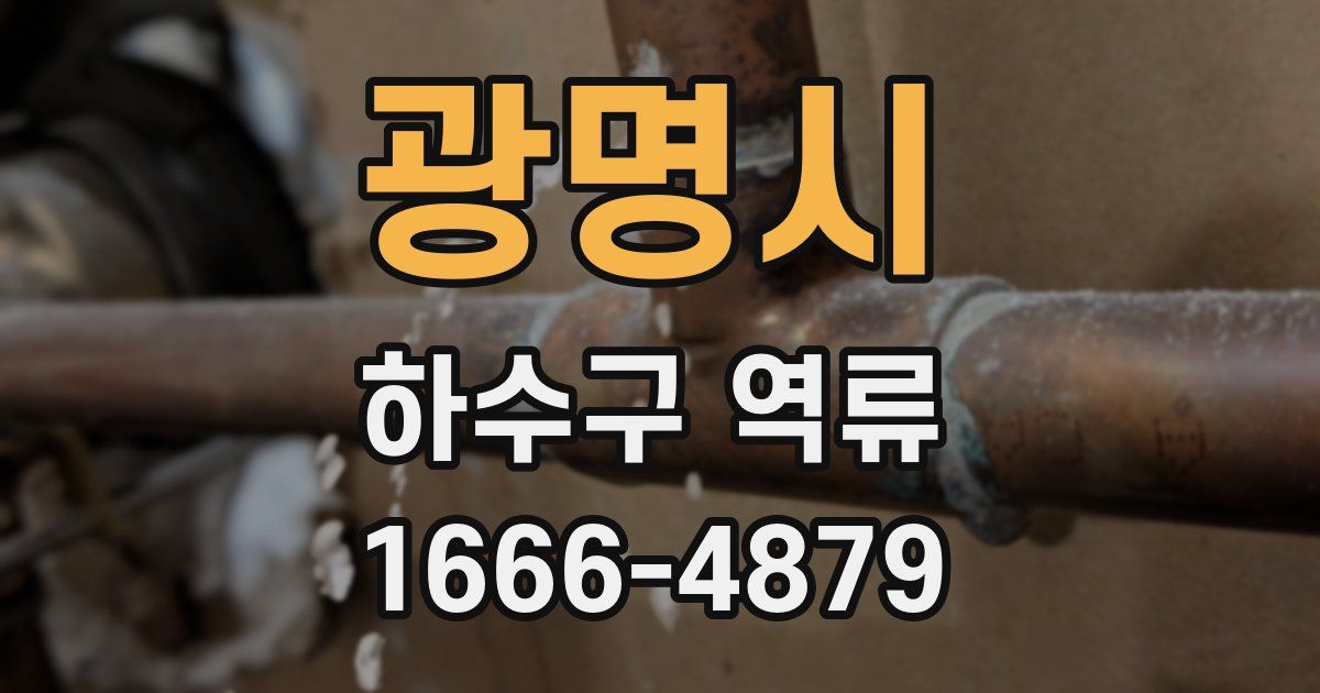 광명시 하수구 역류