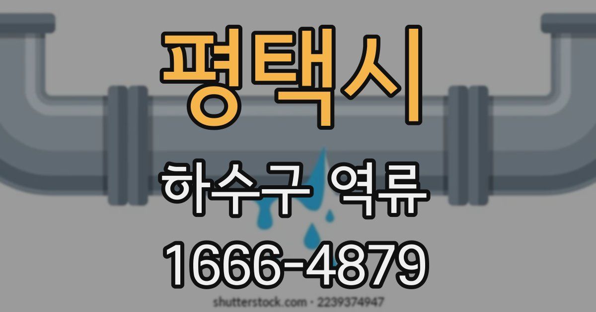 평택시 하수구 역류