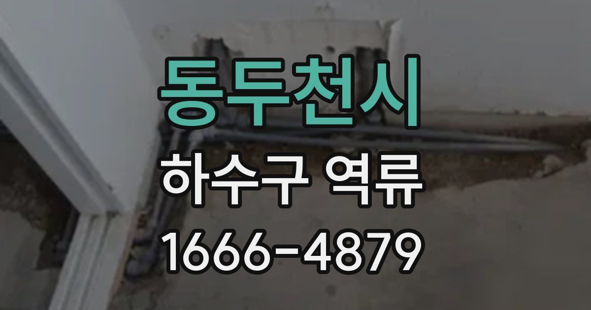 동두천시 하수구 역류