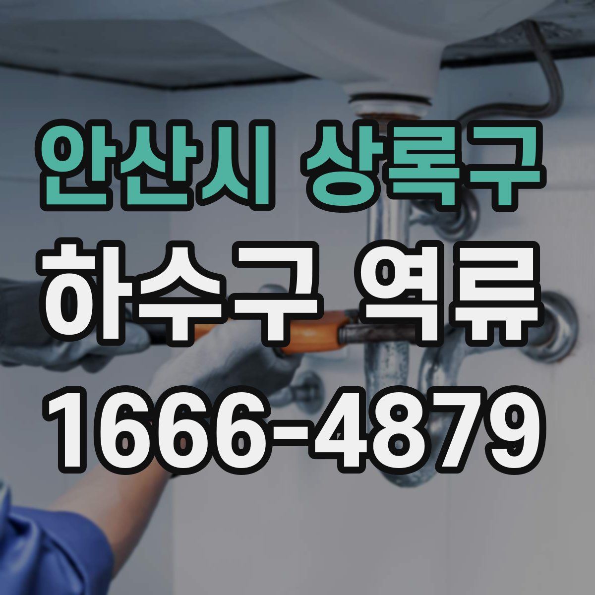 안산시 상록구 하수구 역류