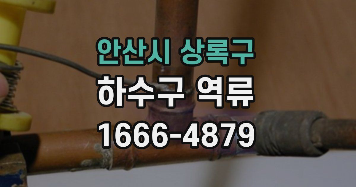 안산시 상록구 하수구 역류