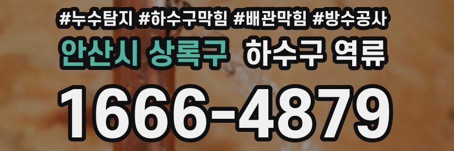 안산시 상록구 하수구 역류