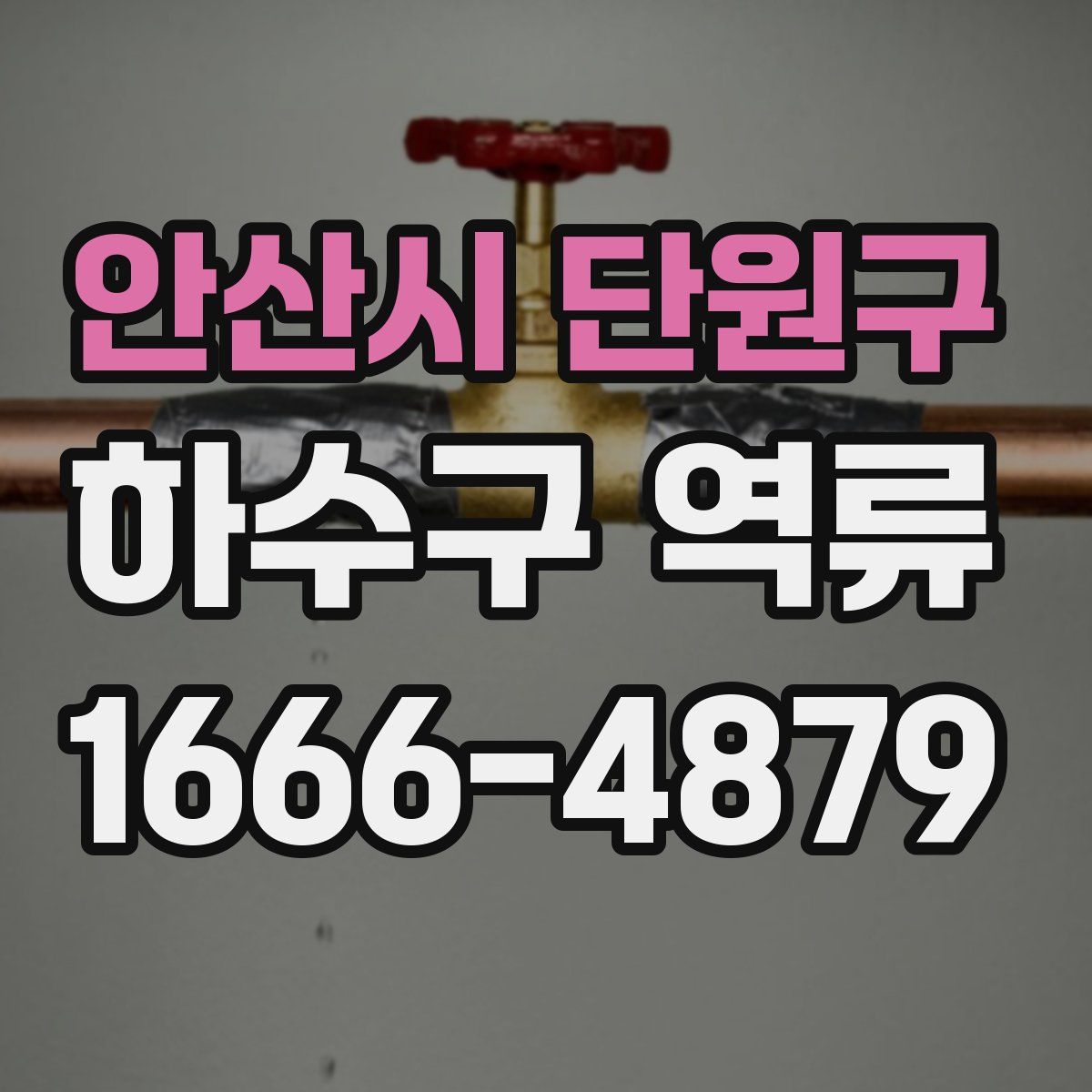 안산시 단원구 하수구 역류