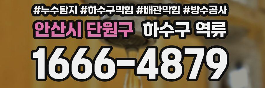 안산시 단원구 하수구 역류
