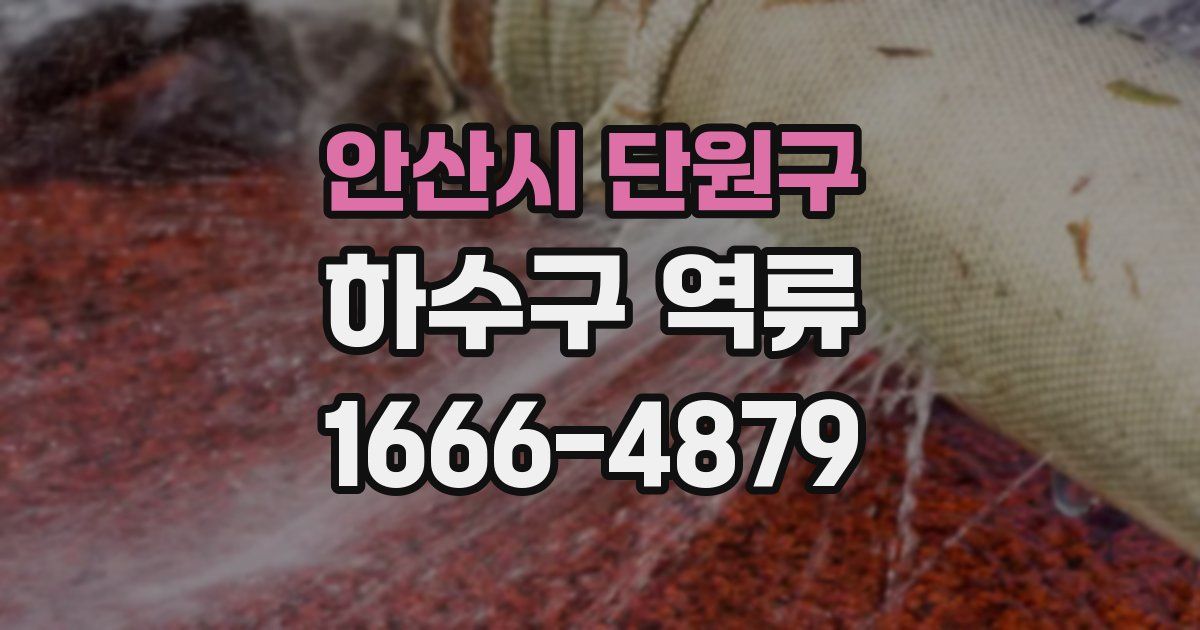 안산시 단원구 하수구 역류
