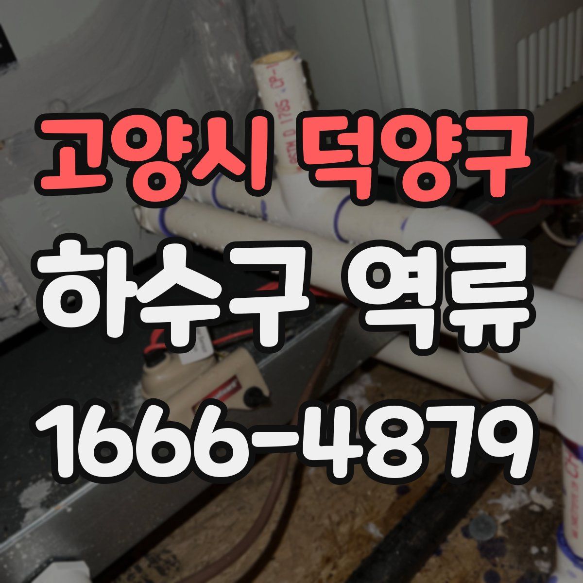 고양시 덕양구 하수구 역류