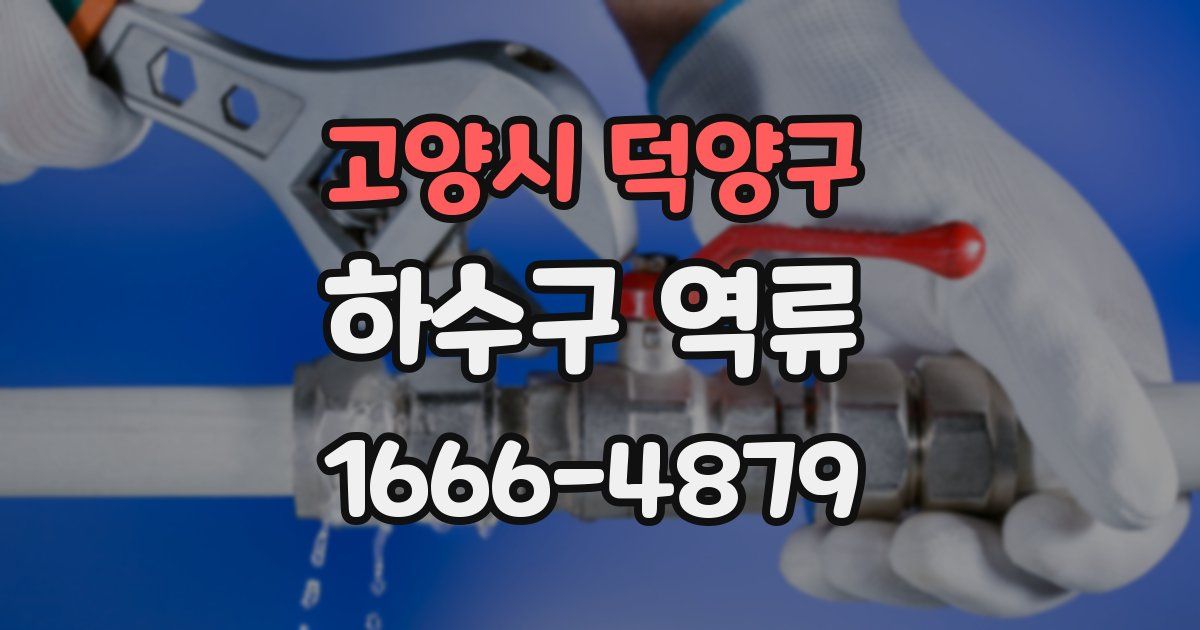 고양시 덕양구 하수구 역류