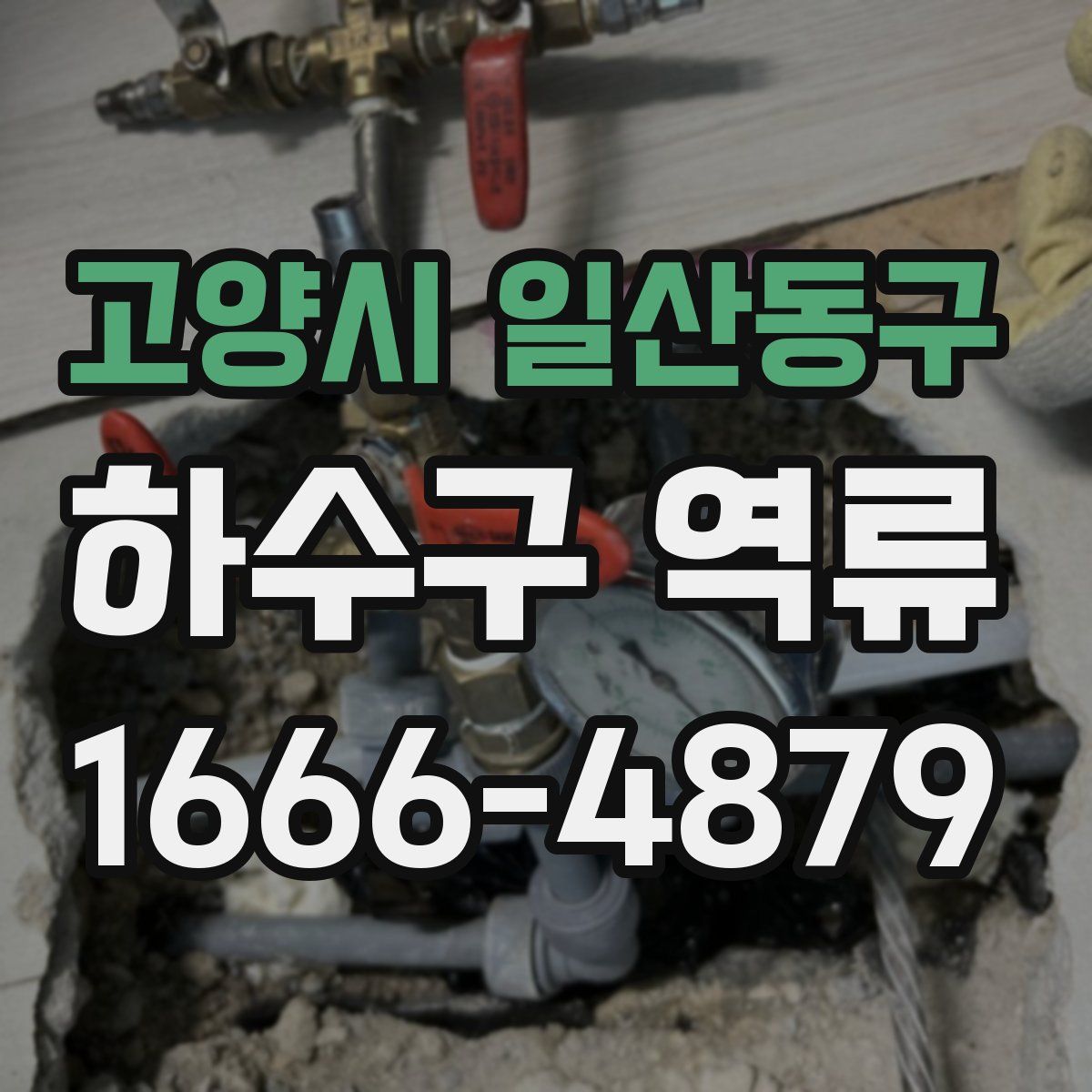 고양시 일산동구 하수구 역류