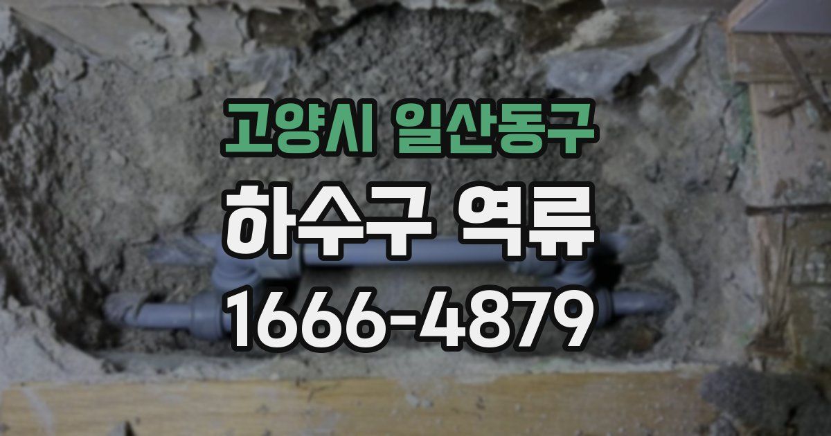고양시 일산동구 하수구 역류