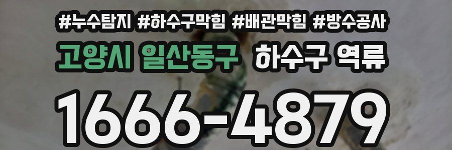 고양시 일산동구 하수구 역류