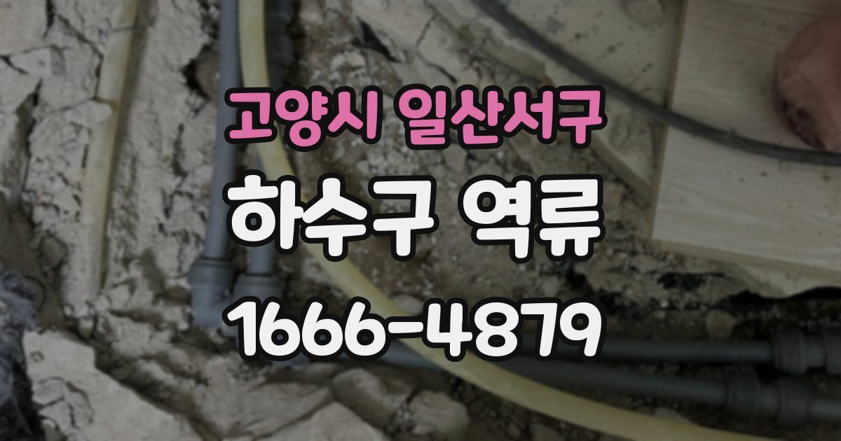 고양시 일산서구 하수구 역류