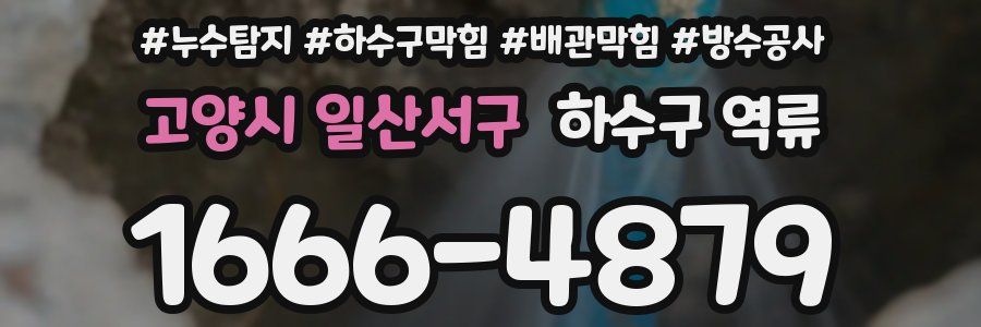 고양시 일산서구 하수구 역류