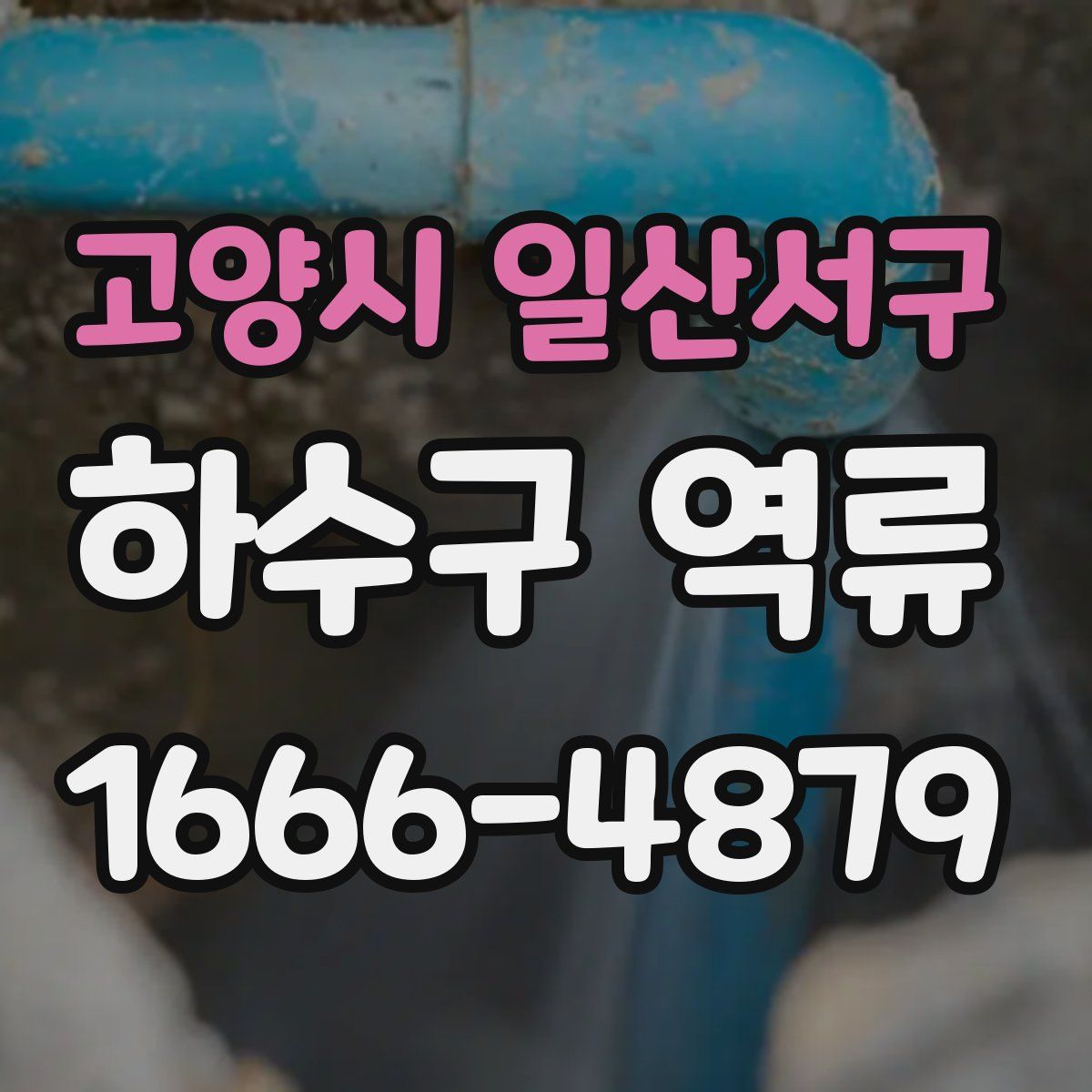 고양시 일산서구 하수구 역류