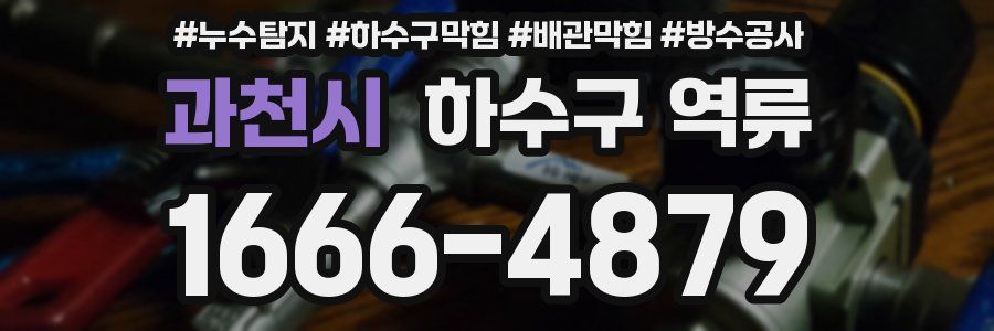 과천시 하수구 역류
