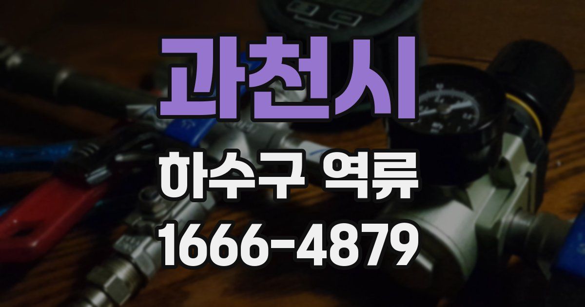 과천시 하수구 역류