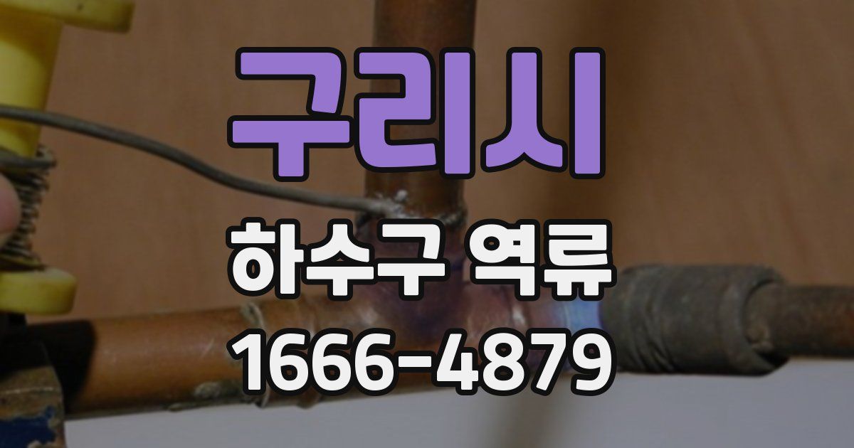 구리시 하수구 역류