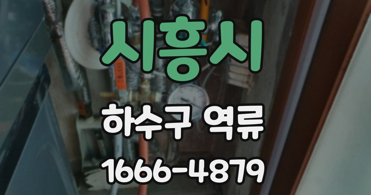 시흥시 하수구 역류