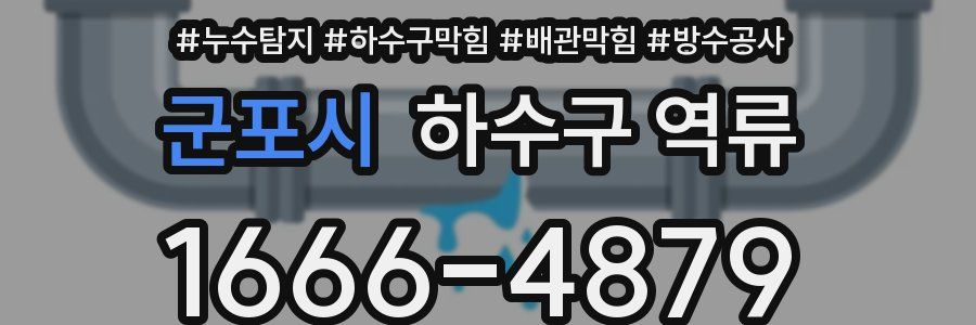 군포시 하수구 역류