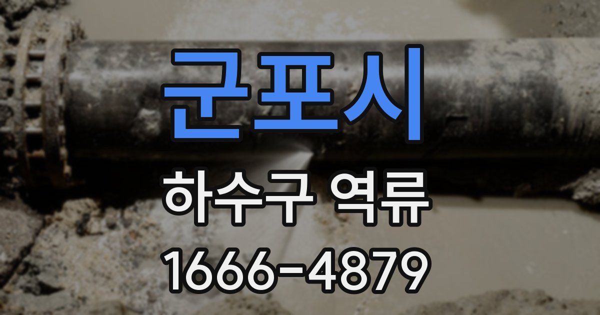 군포시 하수구 역류