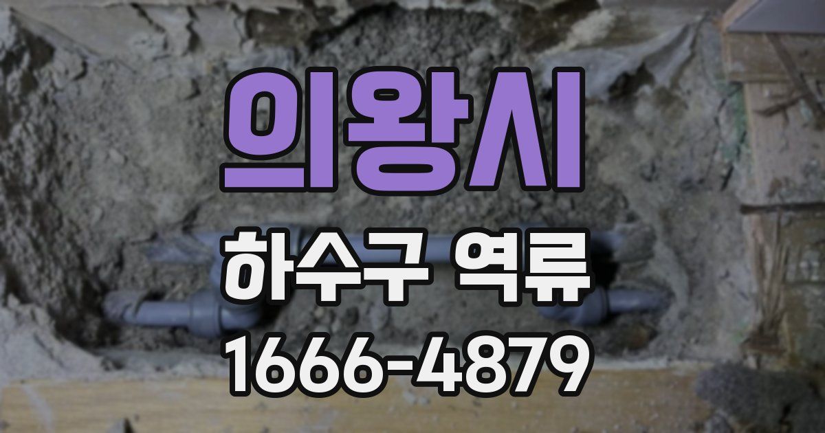 의왕시 하수구 역류
