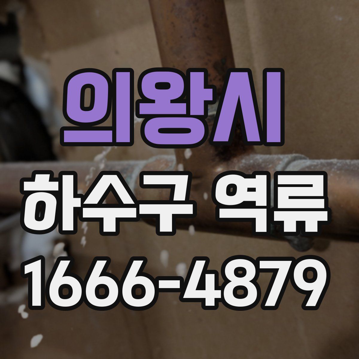 의왕시 하수구 역류