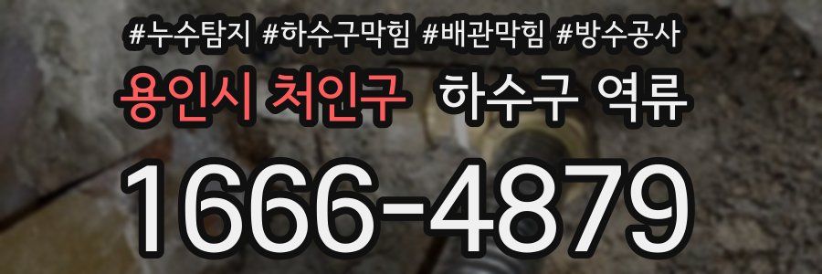 용인시 처인구 하수구 역류