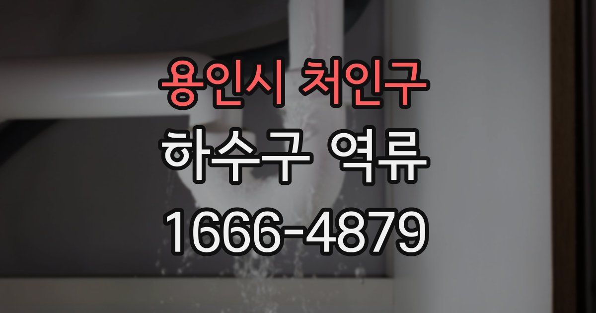 용인시 처인구 하수구 역류