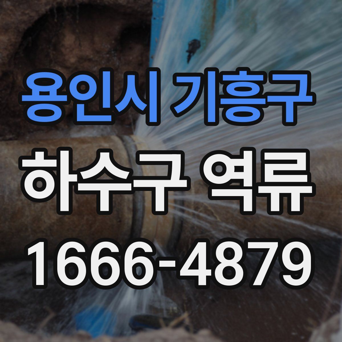 용인시 기흥구 하수구 역류