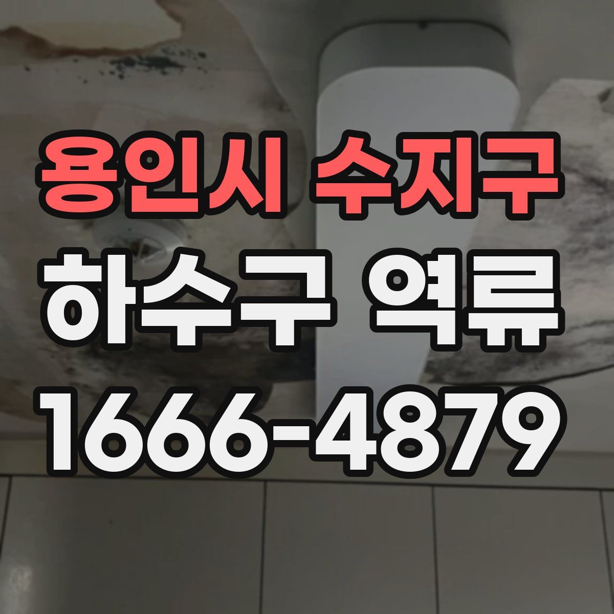 용인시 수지구 하수구 역류