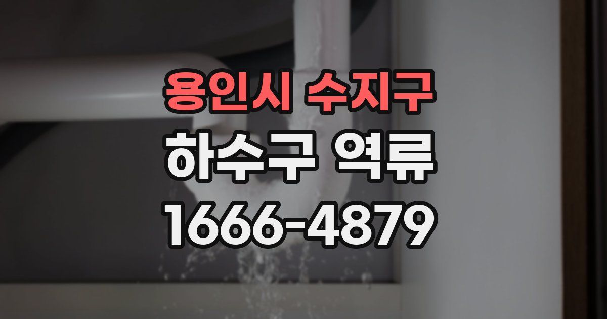 용인시 수지구 하수구 역류