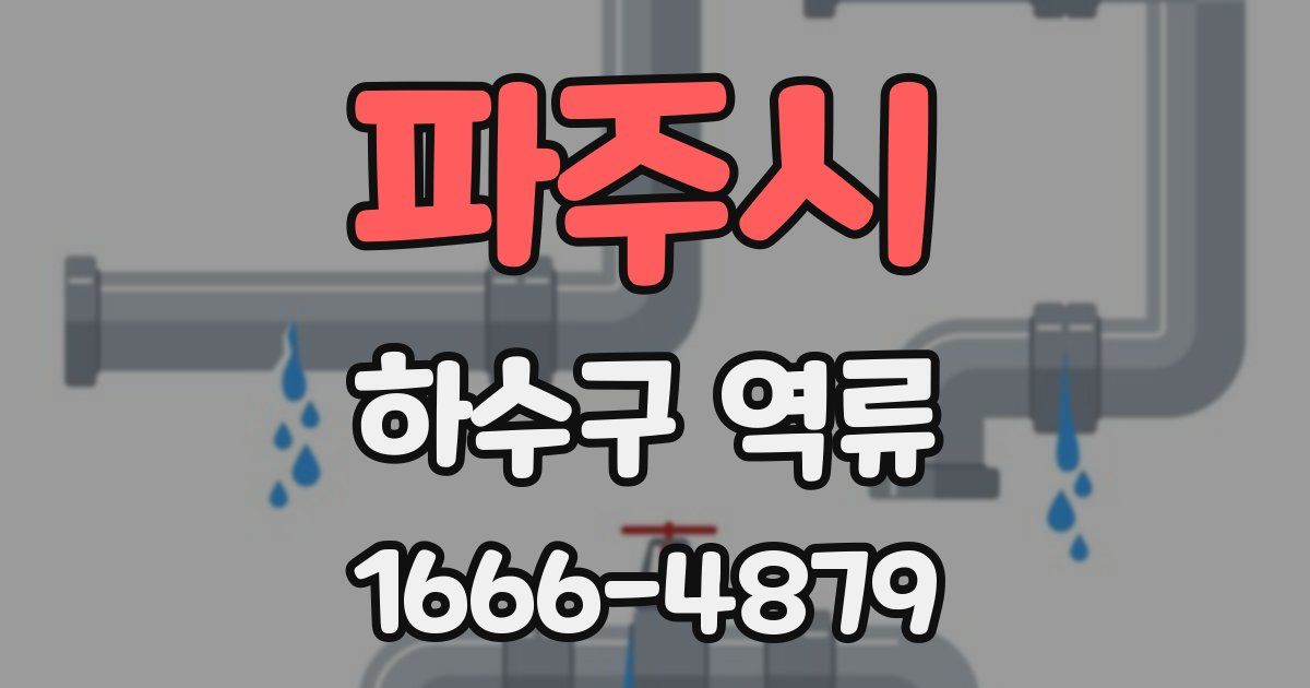 파주시 하수구 역류
