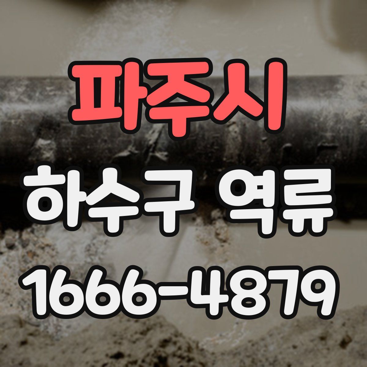 파주시 하수구 역류