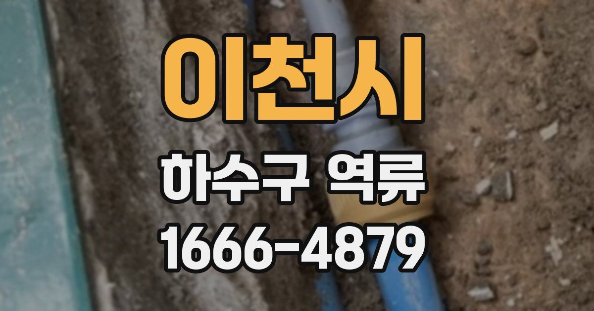 이천시 하수구 역류