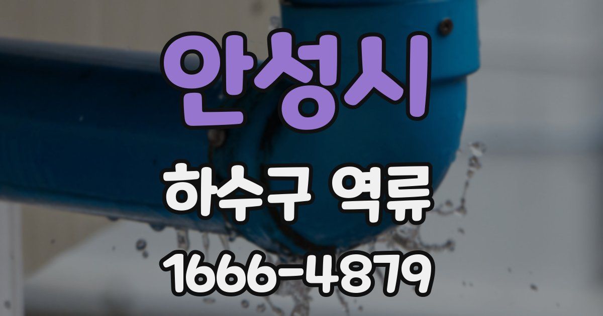 안성시 하수구 역류