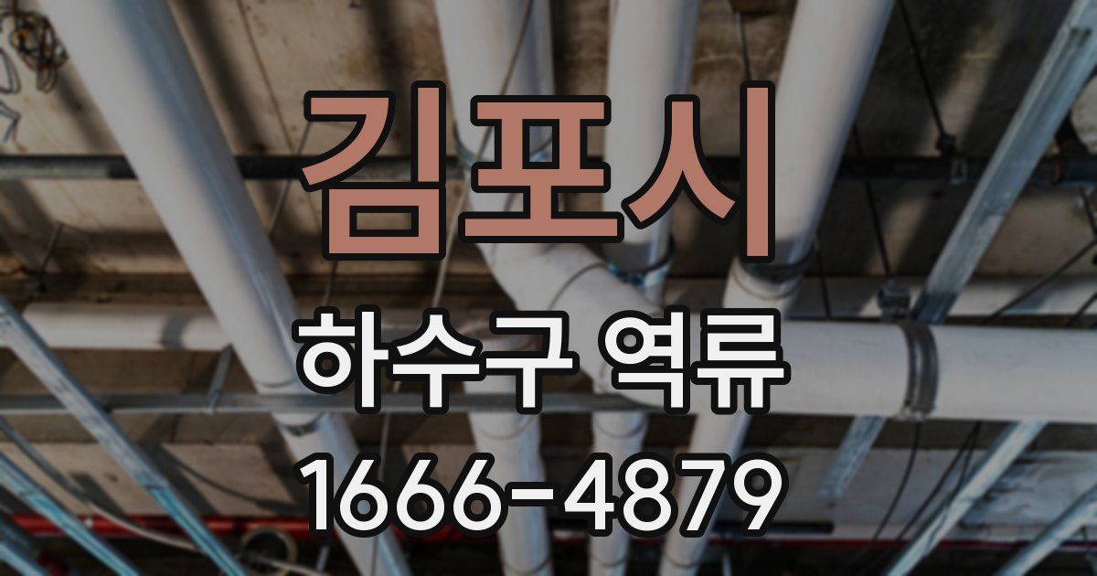 김포시 하수구 역류