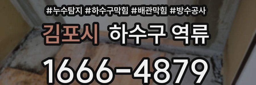 김포시 하수구 역류