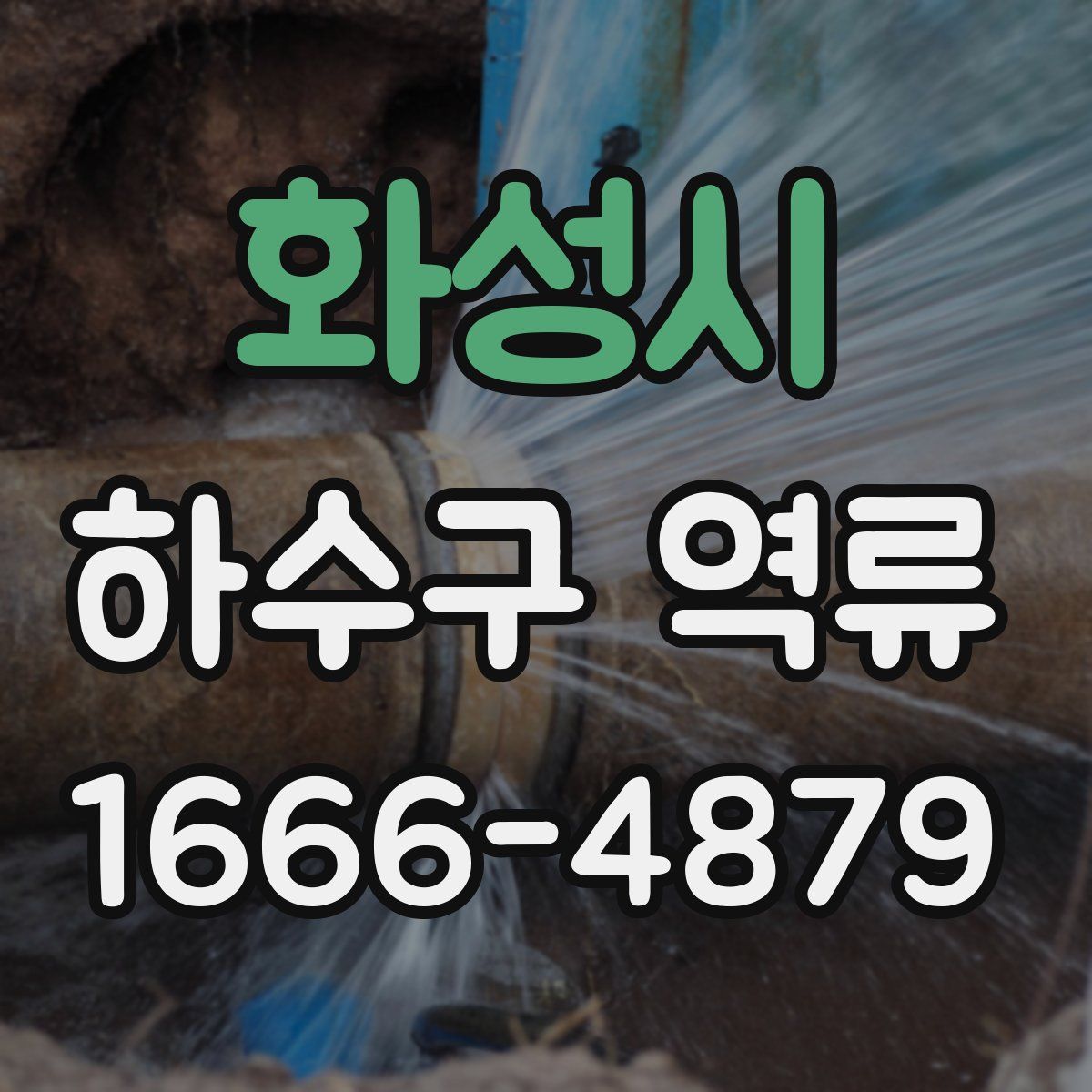 화성시 하수구 역류