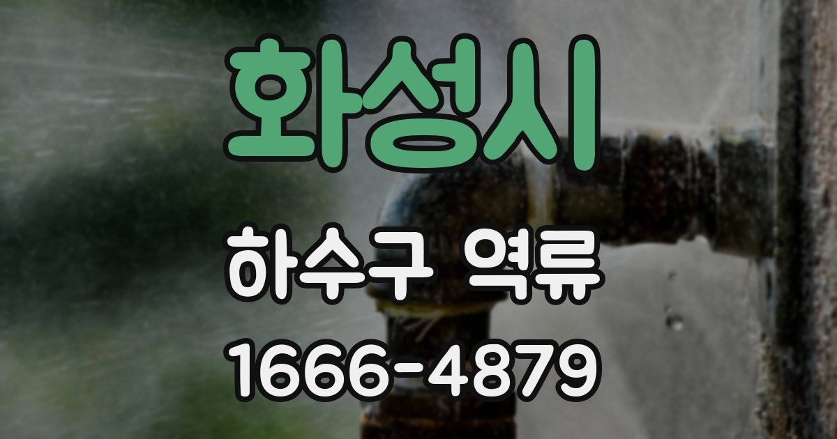화성시 하수구 역류