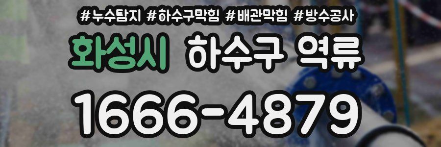 화성시 하수구 역류