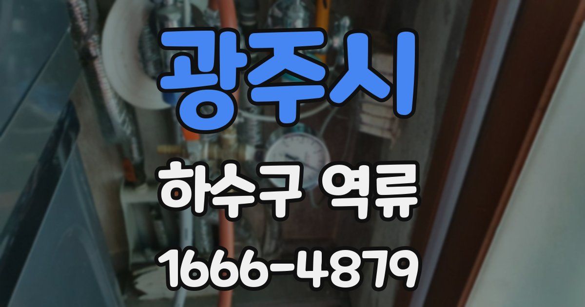 광주시 하수구 역류