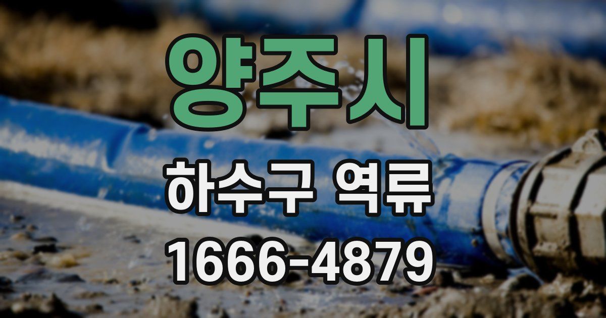 양주시 하수구 역류
