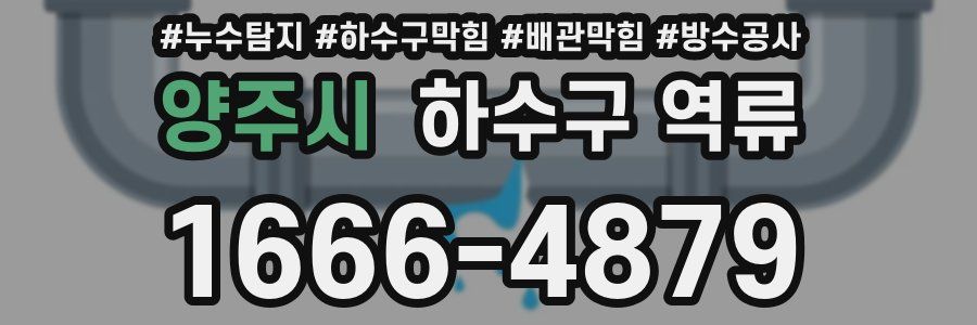 양주시 하수구 역류