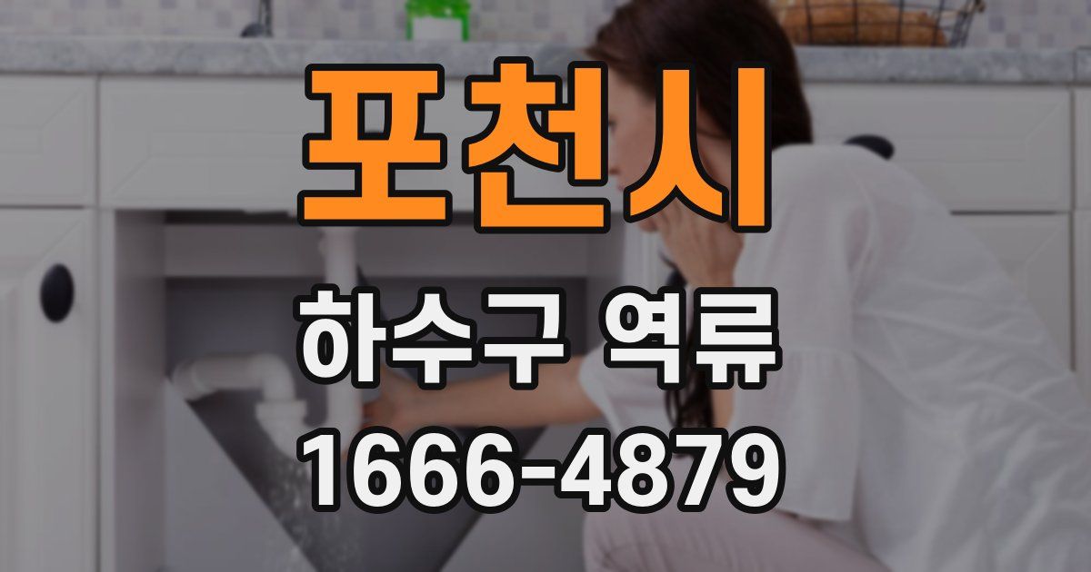 포천시 하수구 역류