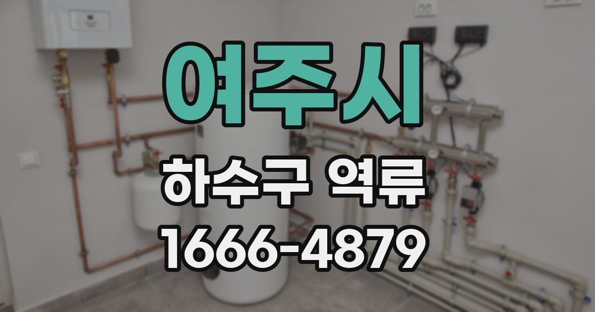 여주시 하수구 역류