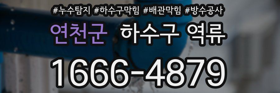 연천군 하수구 역류