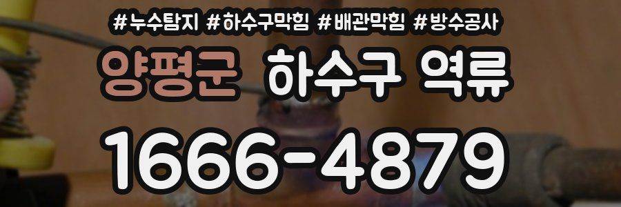 양평군 하수구 역류