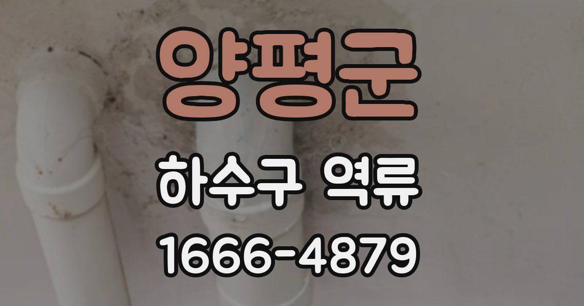 양평군 하수구 역류